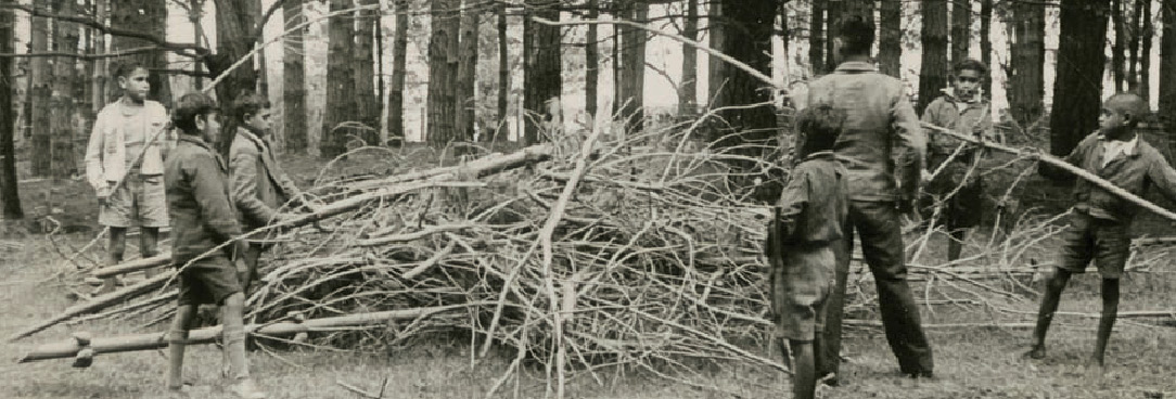 Boys with a pile of sticks 