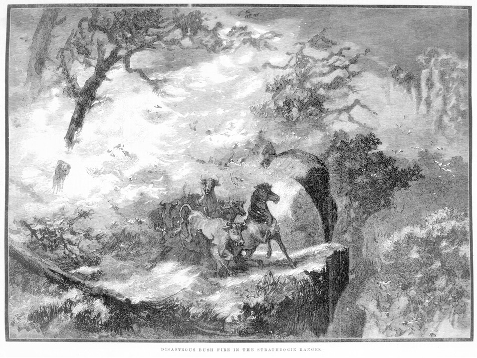 Old black and white sketch Australian News, 22 February 1882