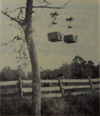 Photograph of the aerial ropeway between Healesville Railway Station and Maroondah Reservoir construction site