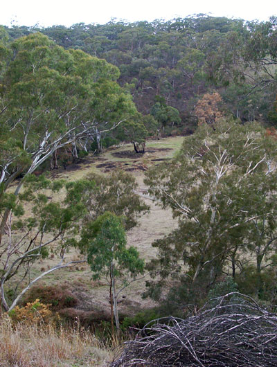 Butcher’s Gully