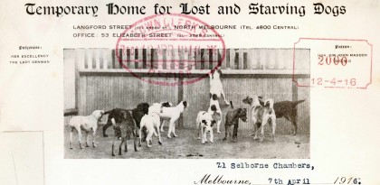 Letter requesting a grant of money for the Lost Dogs’ Home on Langford Street, North Melbourne, dated 7 April 1916. 