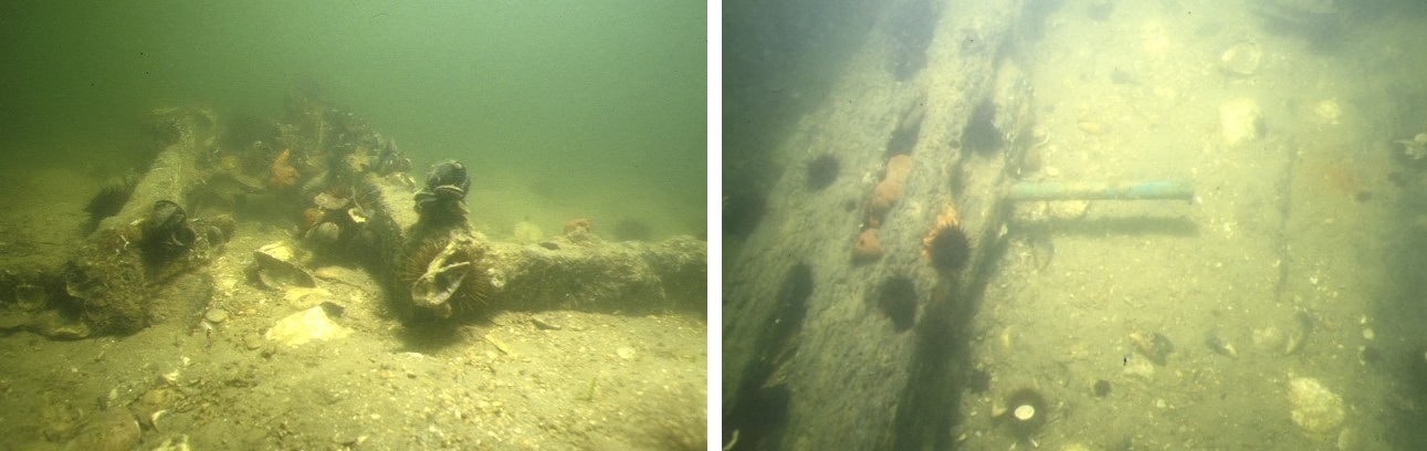 photos of a shipwreck