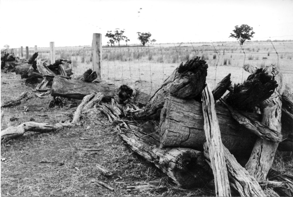 chock and log fence